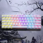 WY-61 60% Layout Mechanical Keyboard – Blue Switches, RGB LED Backlight, 61 Keys Mini Gaming & Office Keyboard for PC (White)