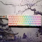 DAREU COOL60 Magnetic 60% Mechanical Gaming Keyboard – 8K Polling Rate, Hot-Swappable, RGB Backlight, Compact Design for PC/Mac/Laptop (White Contour)