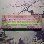 BAJEAL BJ68 Mechanical 65% RGB Keyboard – Blue Switches, Wired Compact Gaming Keyboard