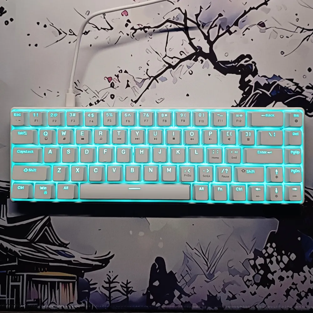 1_result HXSJ V800 Mechanical 65% Keyboard – Red Switch, Light Blue Backlight, Wired Compact Gaming Keyboard (White) - Image 1