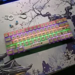 BAJEAL BJ68 Mechanical 65% RGB Keyboard – Blue Switches, Wired Compact Gaming Keyboard - Image 2